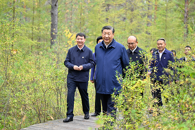9月6日至8日，中共中央总书记、国度主席、中央军委主席习近平在黑龙江调查。这是6日下午，习近平在大兴安岭地域漠河市漠河林场天然林区调查